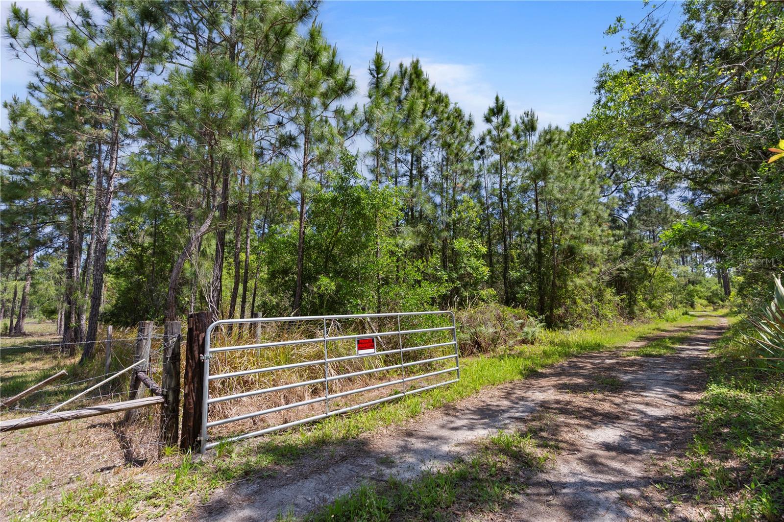 9121 FLORIDA BOYS RANCH RD, CLERMONT, FL — photo 5