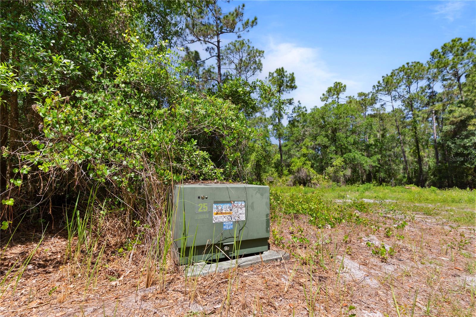 9121 FLORIDA BOYS RANCH RD, CLERMONT, FL — photo 7
