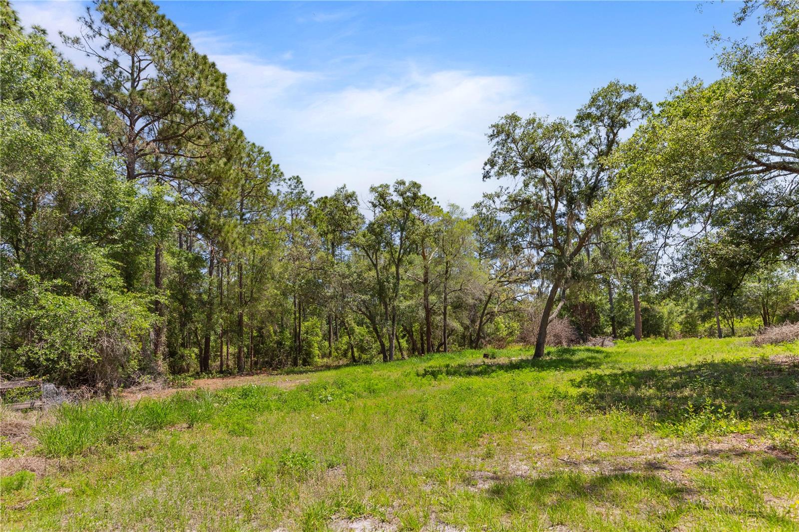 9121 FLORIDA BOYS RANCH RD, CLERMONT, FL — photo 8