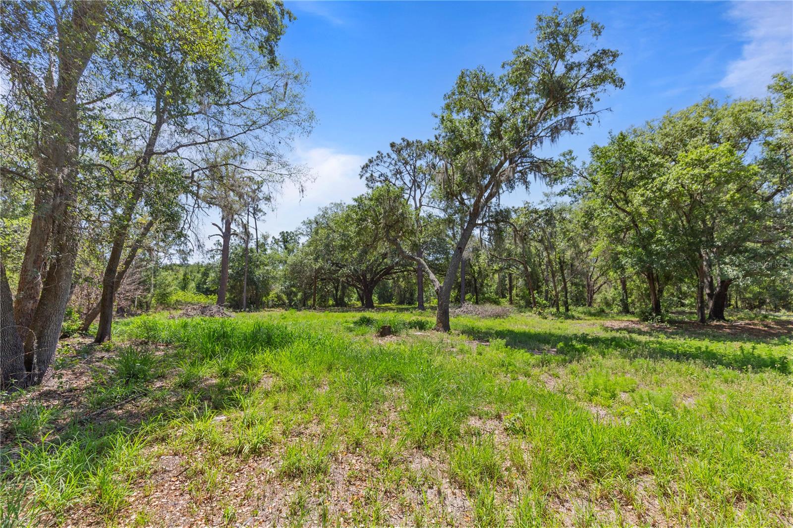 9121 FLORIDA BOYS RANCH RD, CLERMONT, FL — photo 9