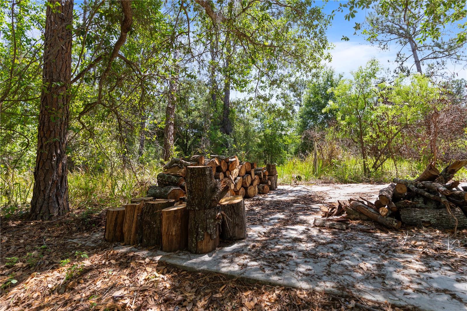 9121 FLORIDA BOYS RANCH RD, CLERMONT, FL — photo 10