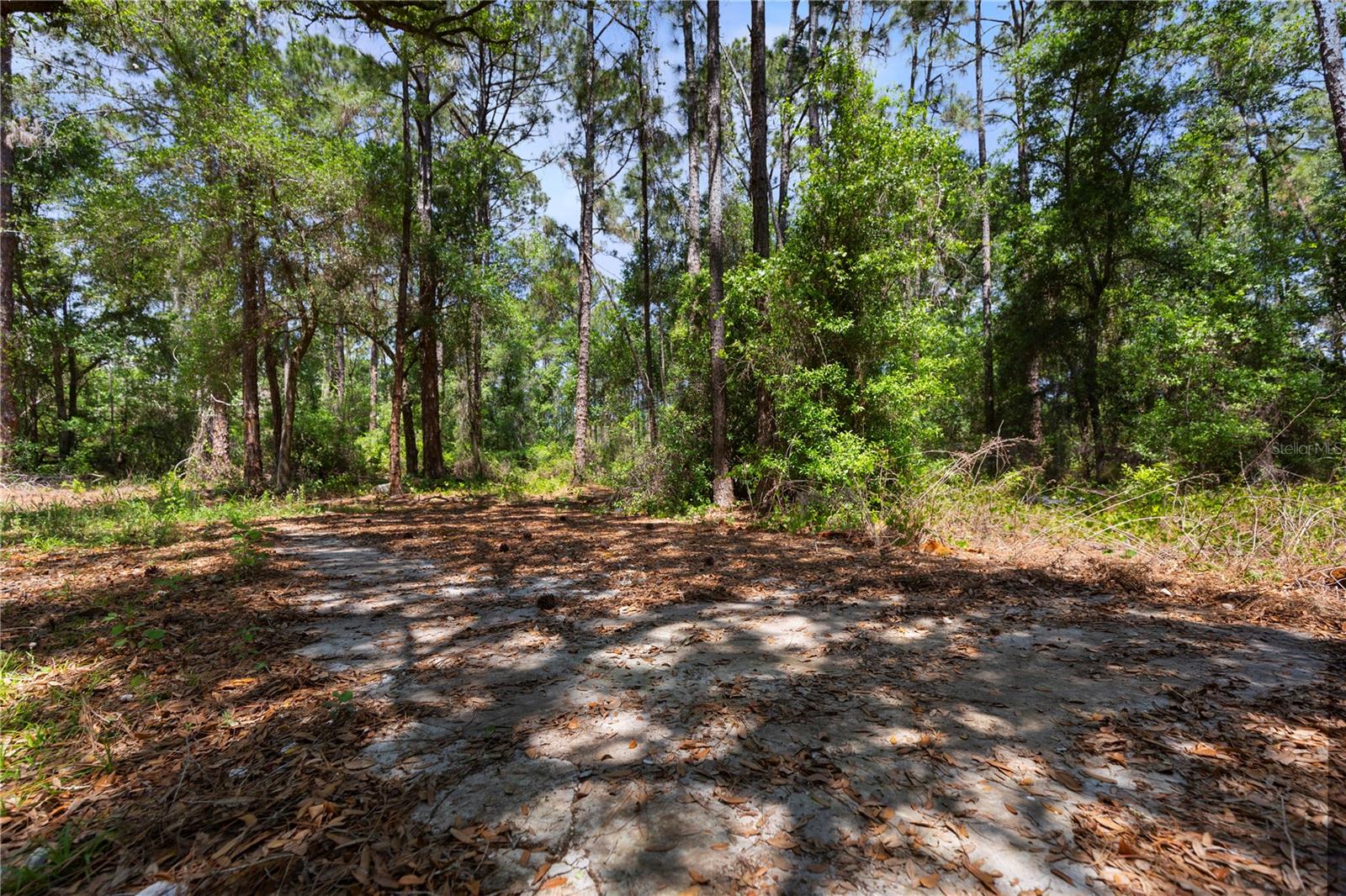 9121 FLORIDA BOYS RANCH RD, CLERMONT, FL — photo 11