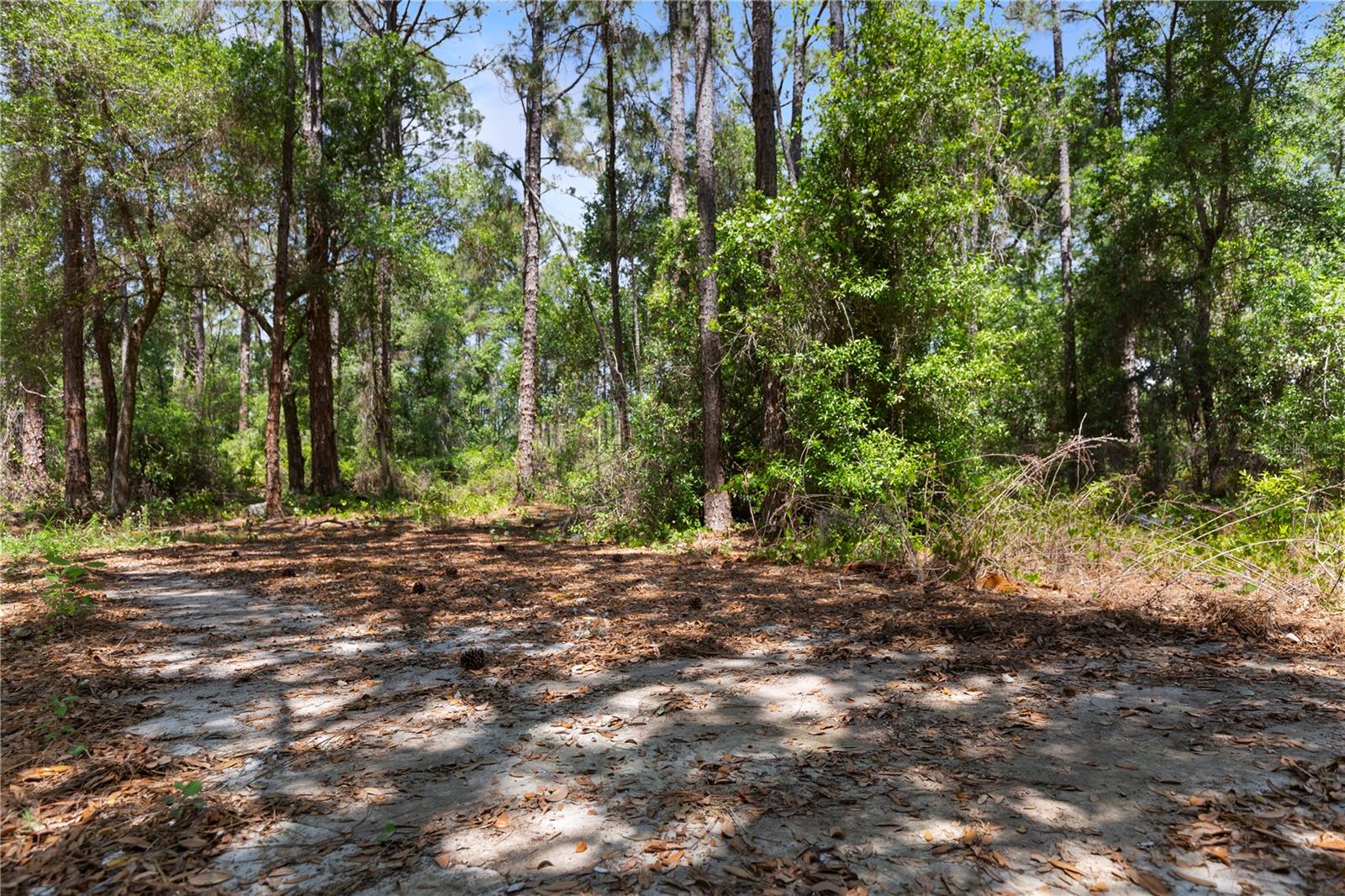 9121 FLORIDA BOYS RANCH RD, CLERMONT, FL — photo 12