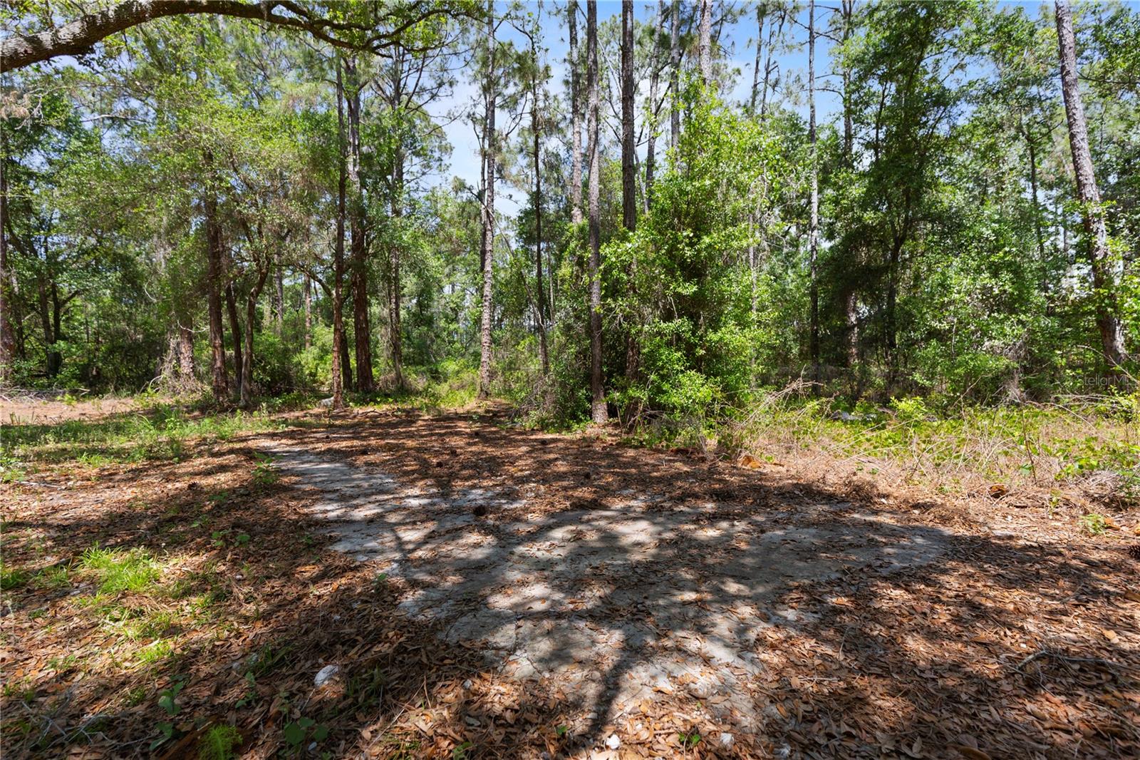 9121 FLORIDA BOYS RANCH RD, CLERMONT, FL — photo 13