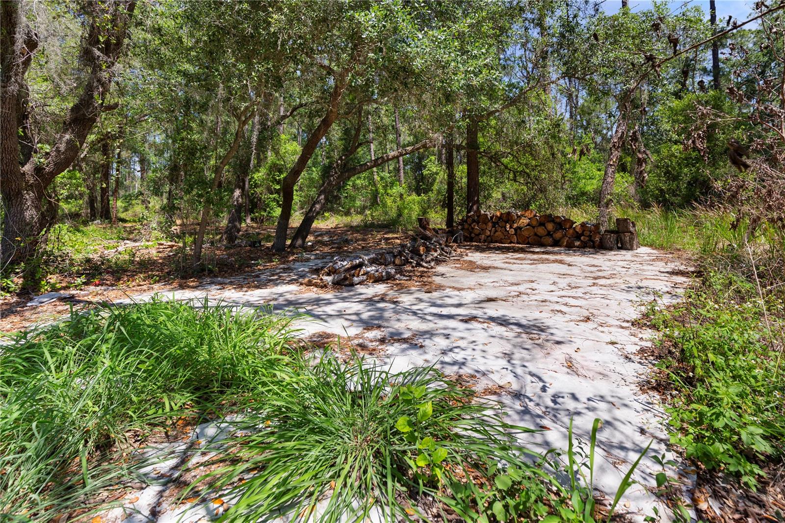 9121 FLORIDA BOYS RANCH RD, CLERMONT, FL — photo 14