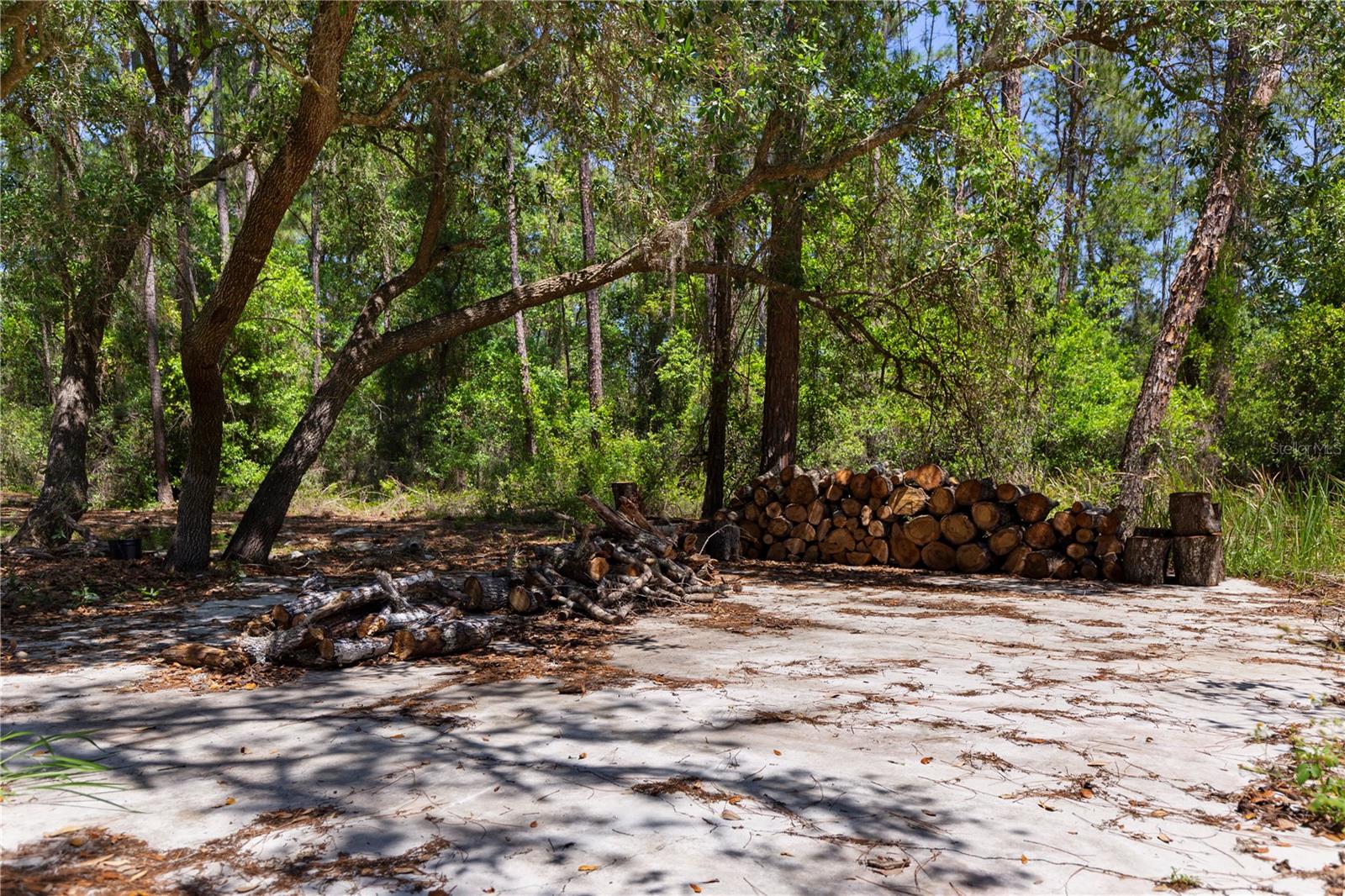 9121 FLORIDA BOYS RANCH RD, CLERMONT, FL — photo 15