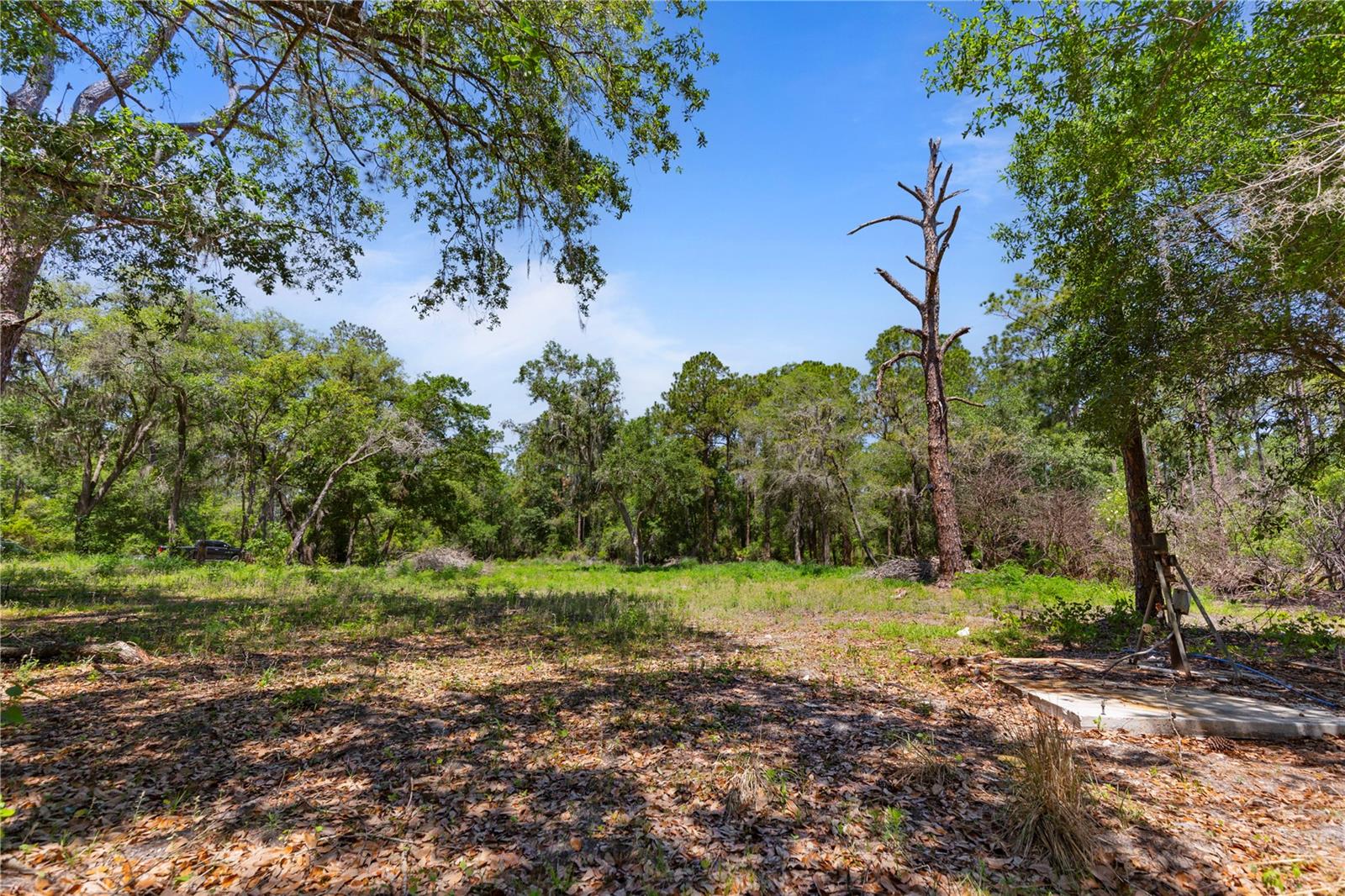 9121 FLORIDA BOYS RANCH RD, CLERMONT, FL — photo 17
