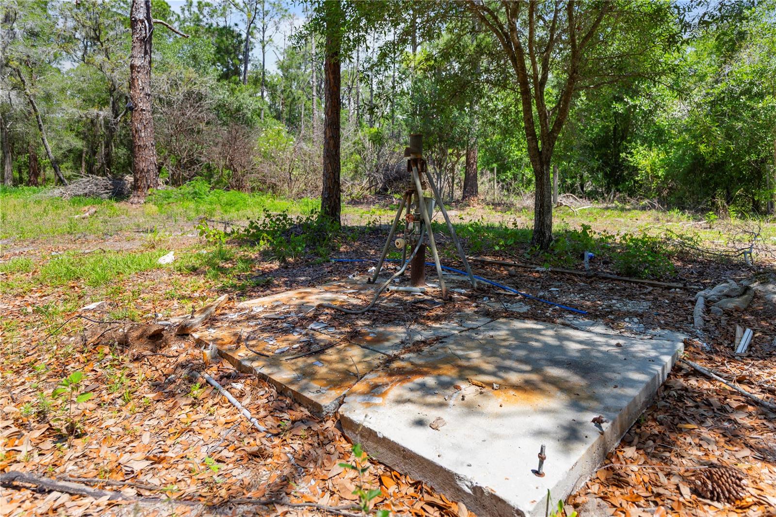9121 FLORIDA BOYS RANCH RD, CLERMONT, FL — photo 18