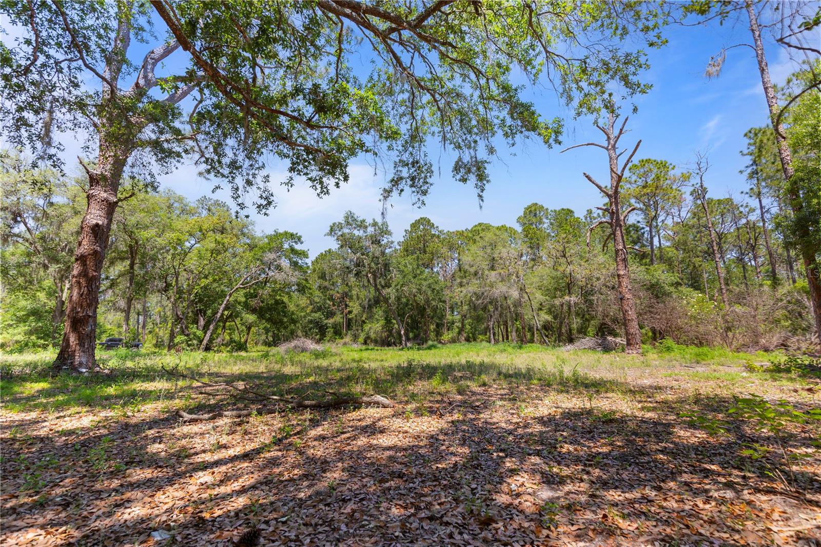9121 FLORIDA BOYS RANCH RD, CLERMONT, FL — photo 19