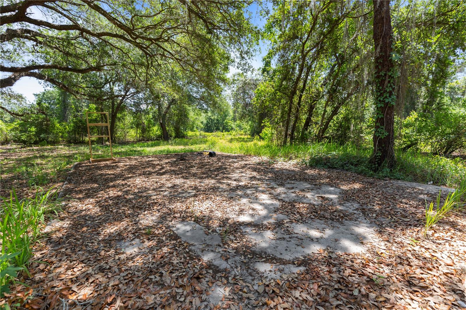 9121 FLORIDA BOYS RANCH RD, CLERMONT, FL — photo 21