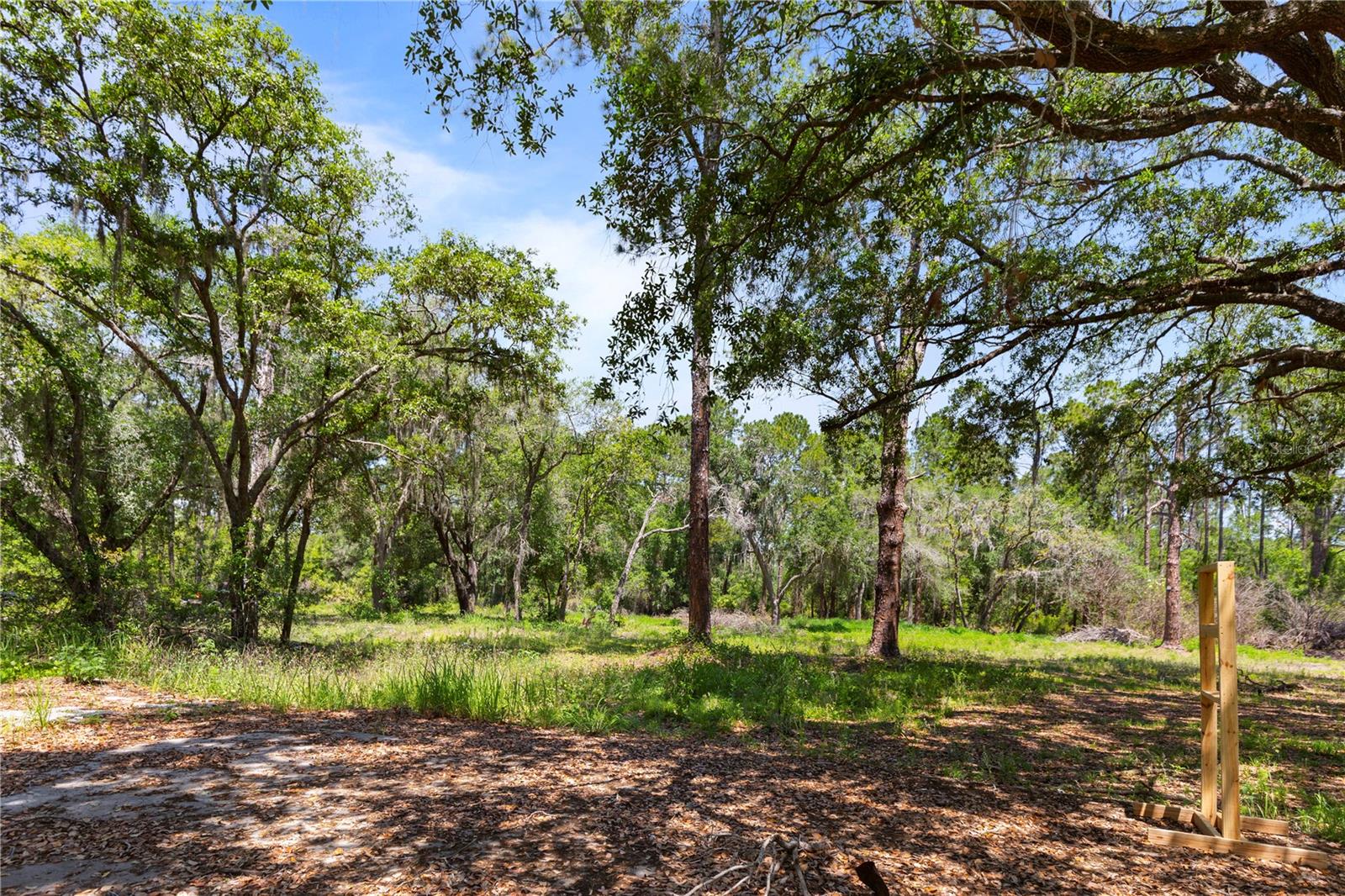 9121 FLORIDA BOYS RANCH RD, CLERMONT, FL — photo 22