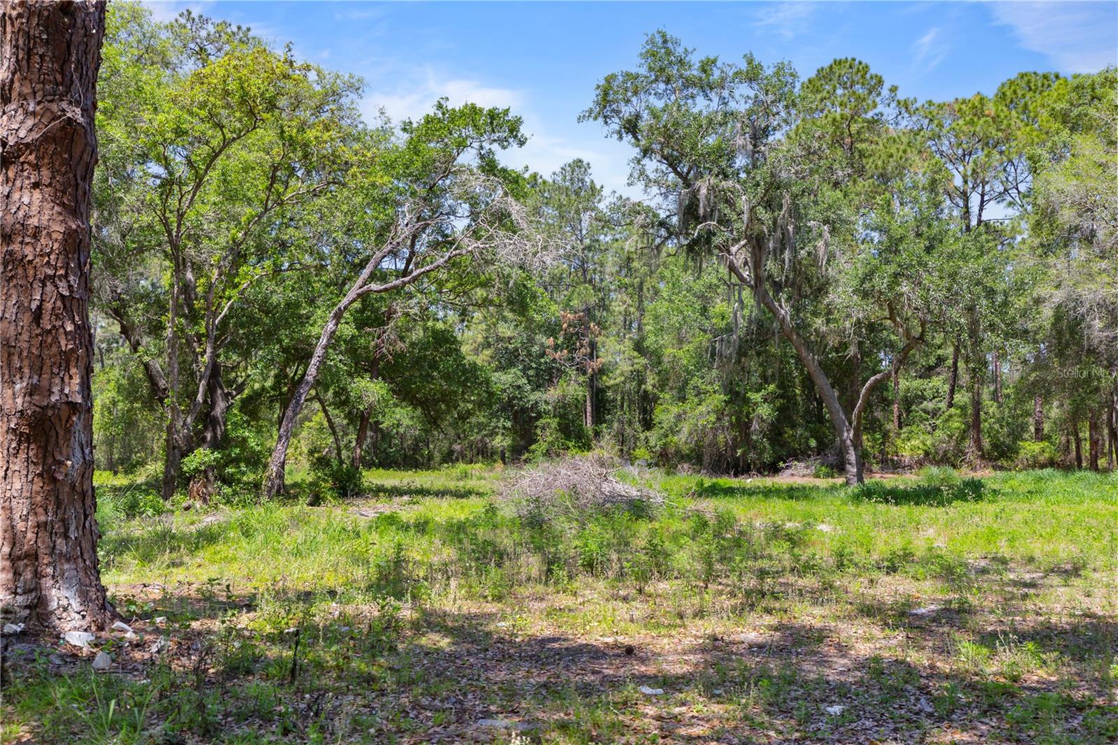 9121 FLORIDA BOYS RANCH RD, CLERMONT, FL — photo 23