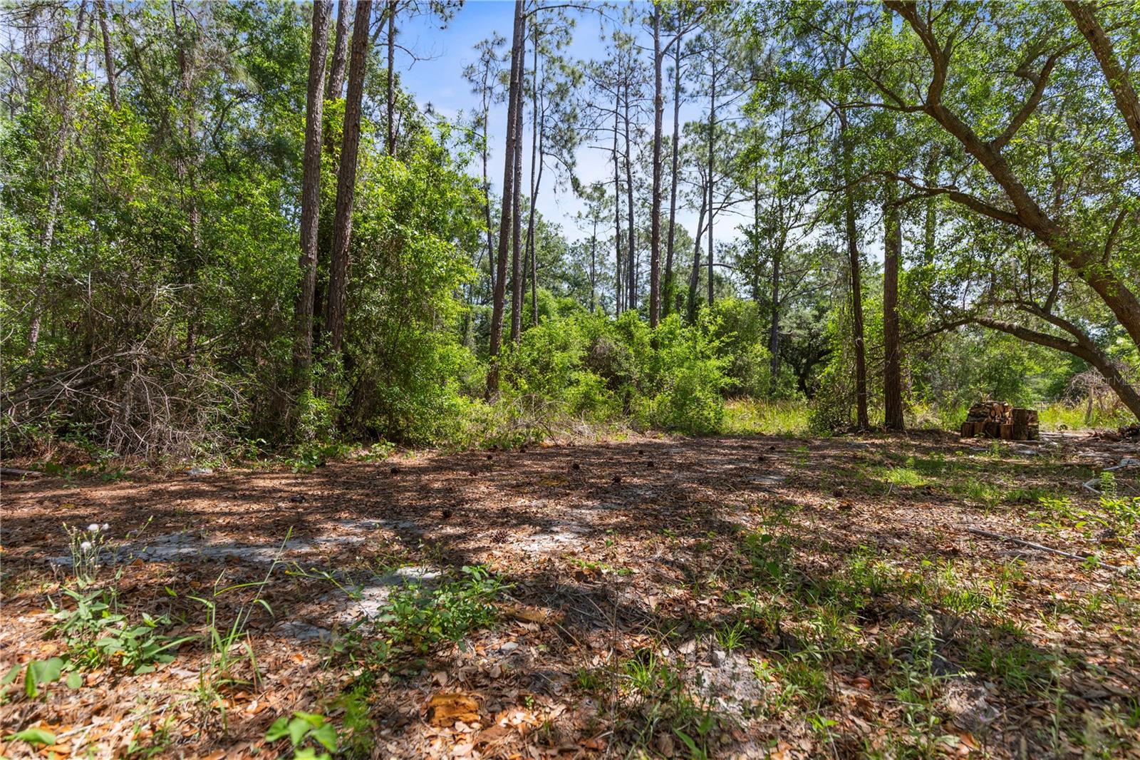 9121 FLORIDA BOYS RANCH RD, CLERMONT, FL — photo 25