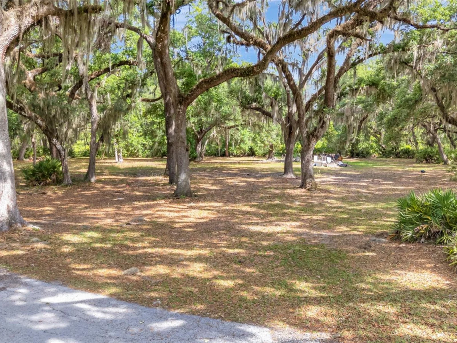 1520 LEGACY WOODS CT, GROVELAND, FL — photo 85