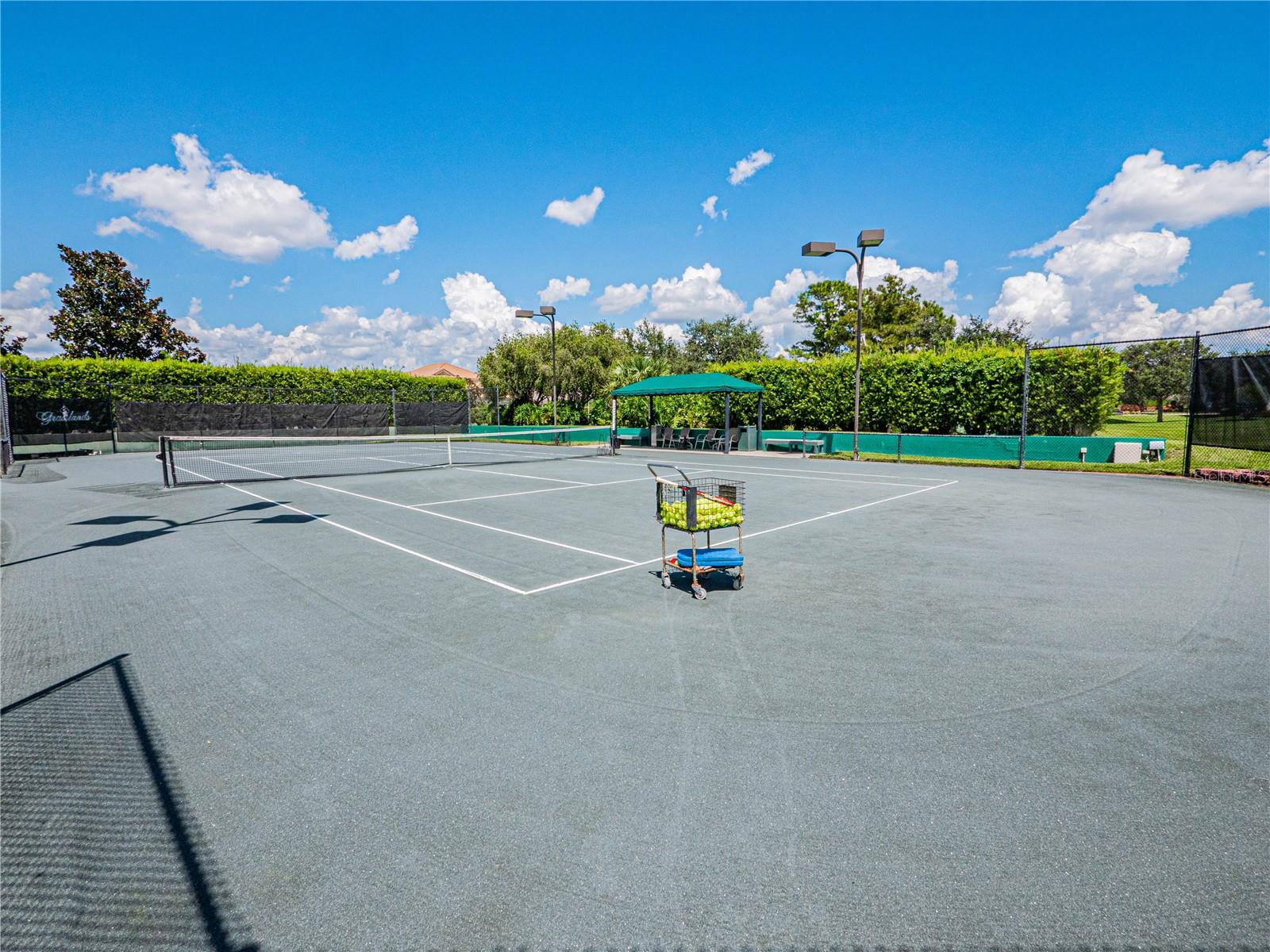 774 GRASSLANDS VILLAGE CIR #88, LAKELAND, FL — photo 43