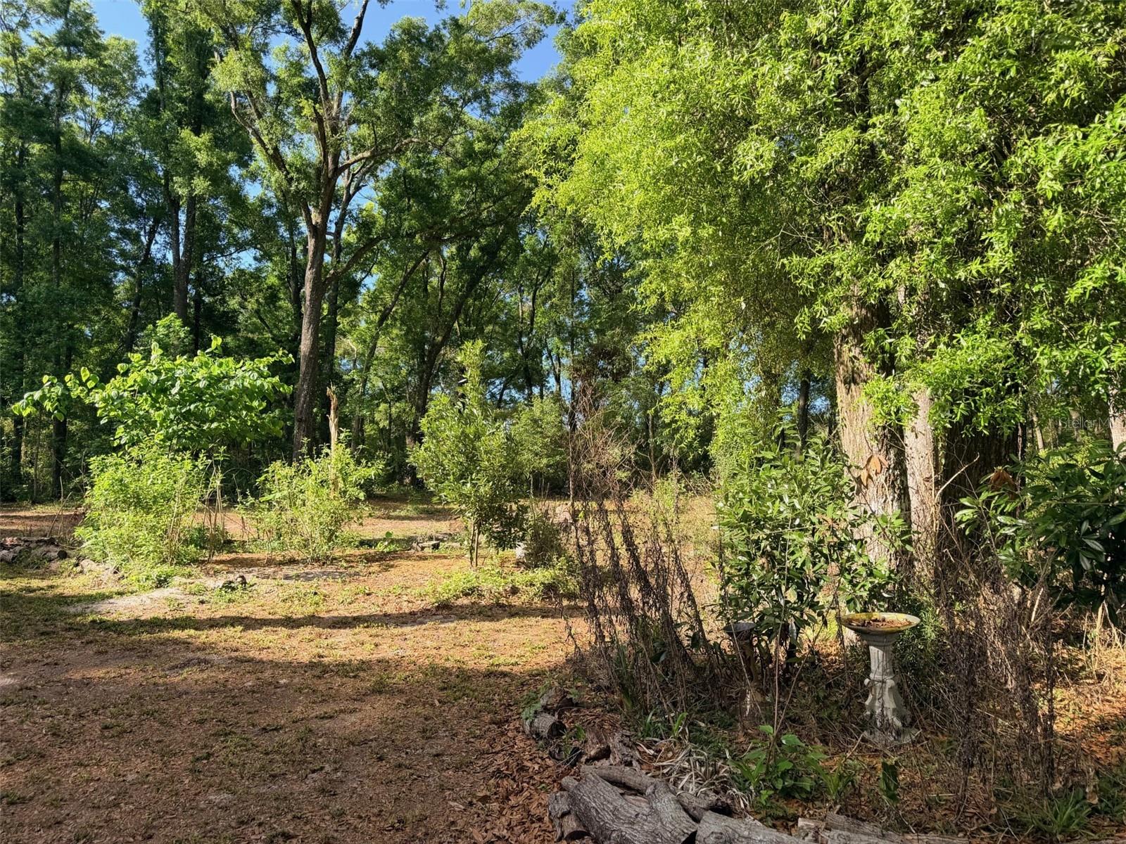 14790 NW 72ND CT, CHIEFLAND, FL — photo 27