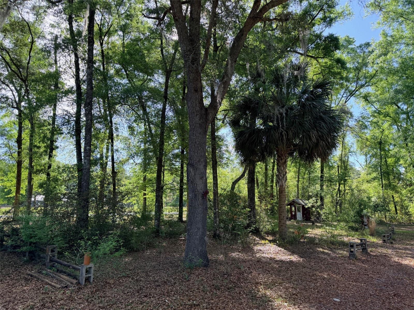 14790 NW 72ND CT, CHIEFLAND, FL — photo 35