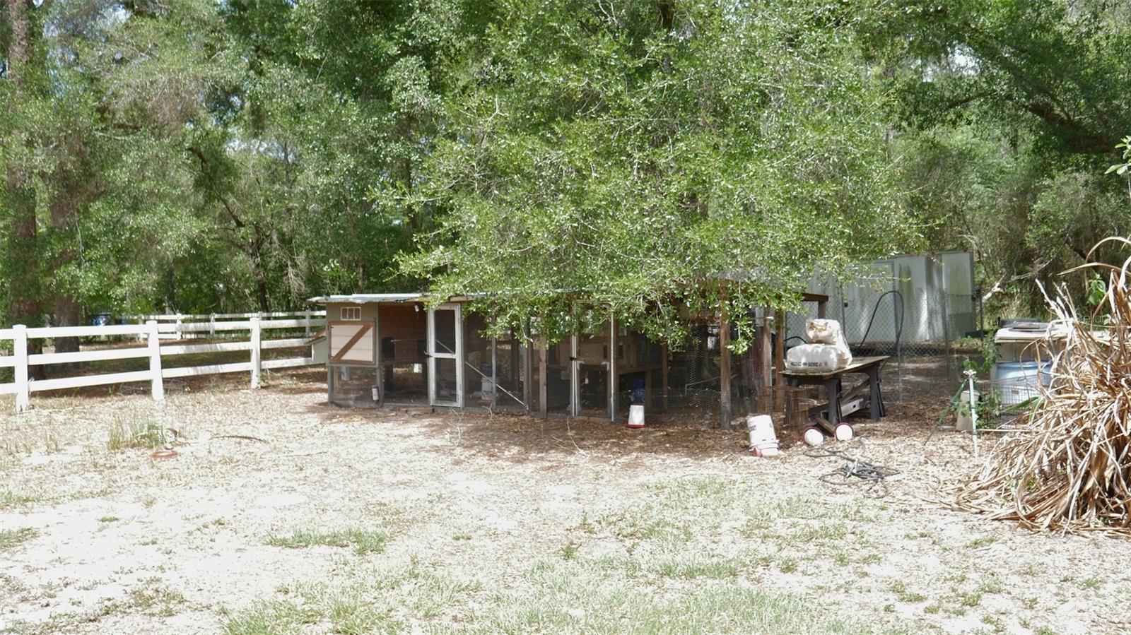 17622 CAUFIELD RD, SPRING HILL, FL — photo 8