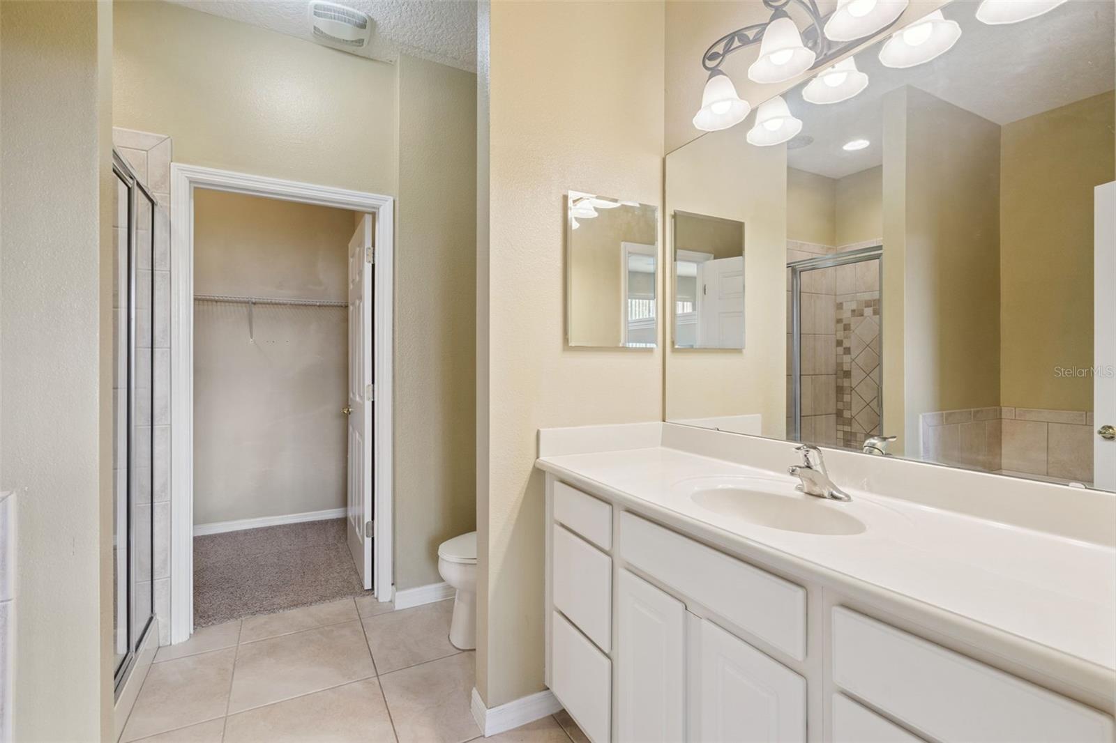 722 CHACALL LOOP, MOUNT DORA, FL — photo 22