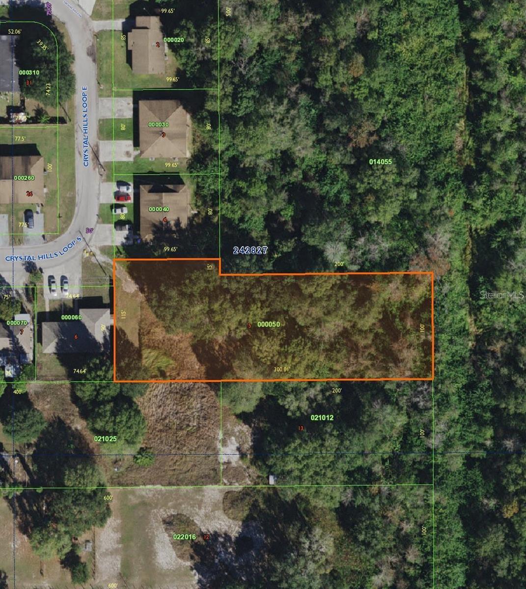 2424 CRYSTAL HILLS LOOP E, LAKELAND, FL