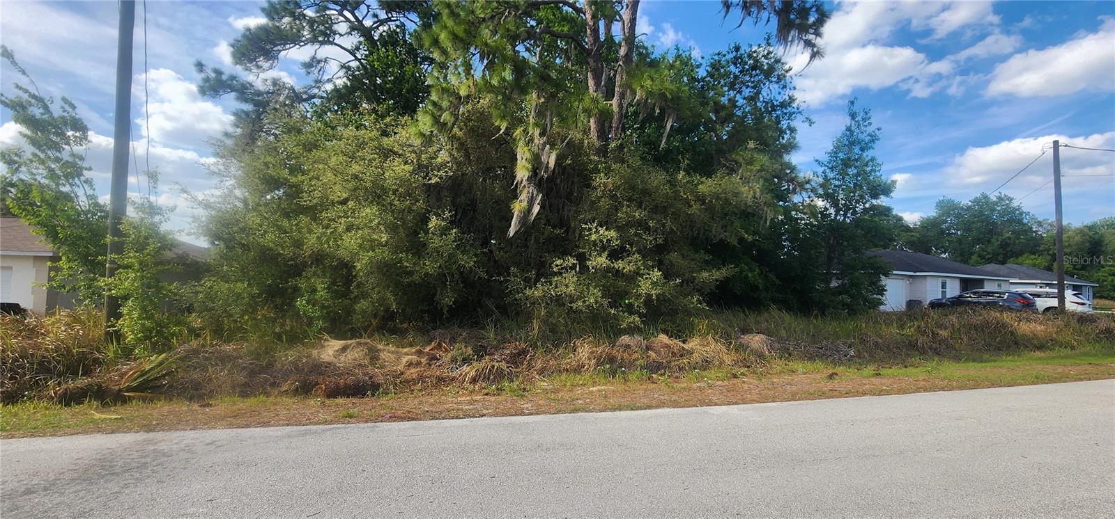 Lot 19 DOGWOOD DRIVE LOOP, OCALA, FL — photo 5