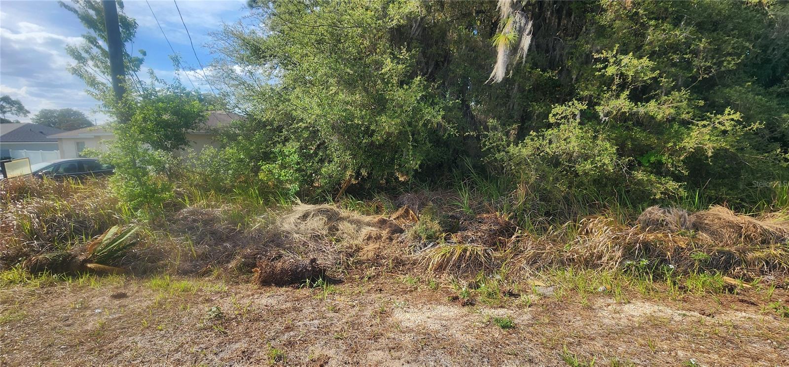 Lot 19 DOGWOOD DRIVE LOOP, OCALA, FL — photo 7