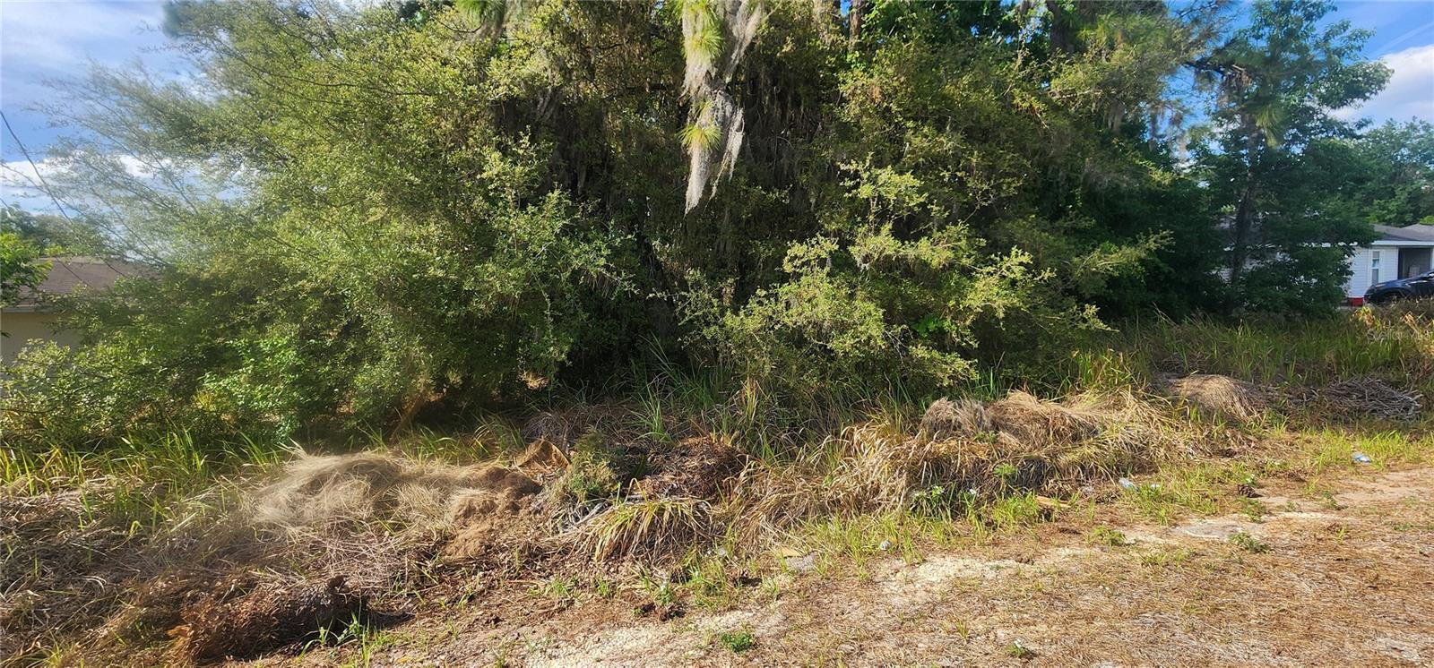 Lot 19 DOGWOOD DRIVE LOOP, OCALA, FL — photo 8