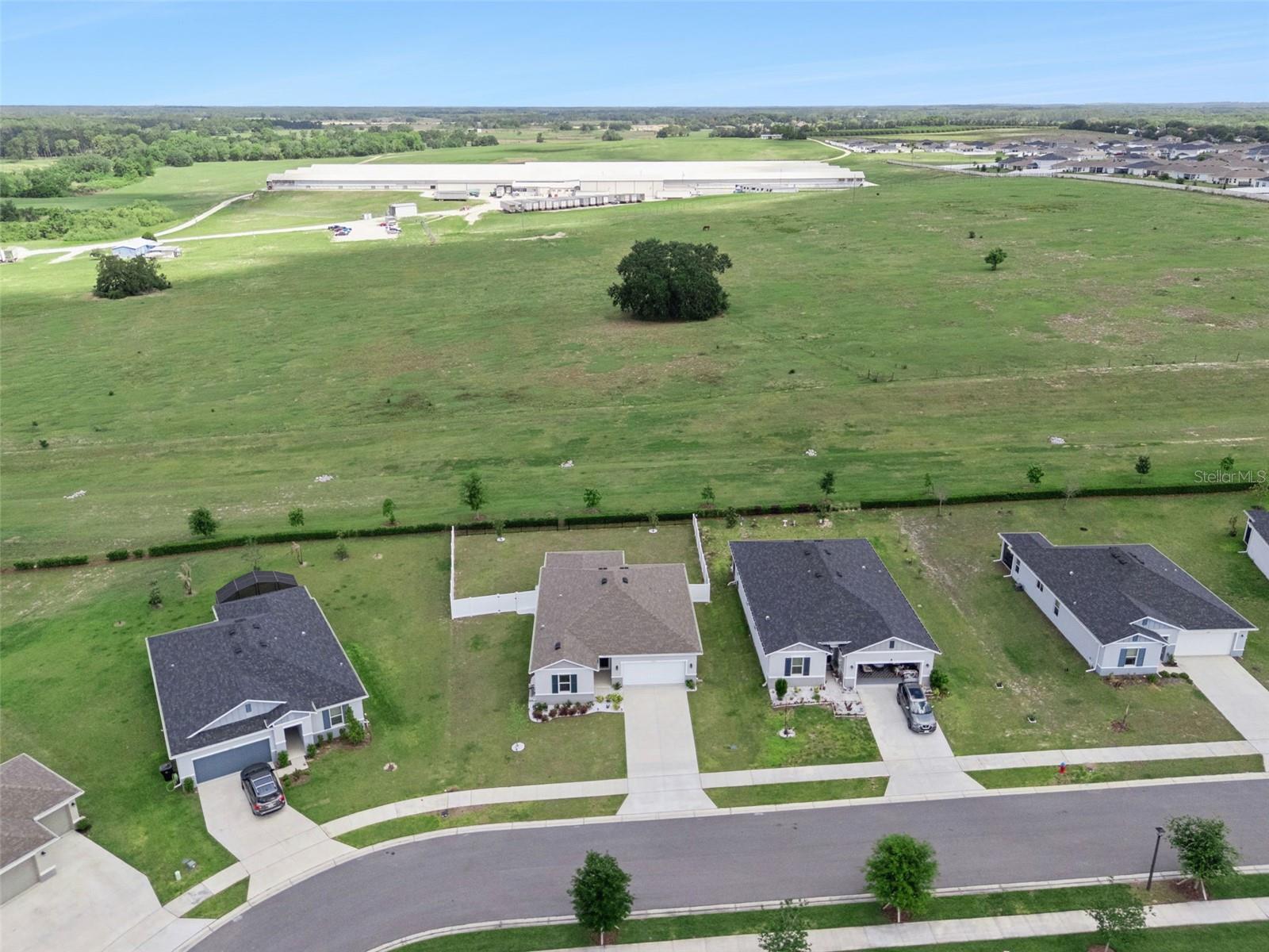 1682 LITTLELEAF BOXWOOD LOOP, MASCOTTE, FL — photo 108