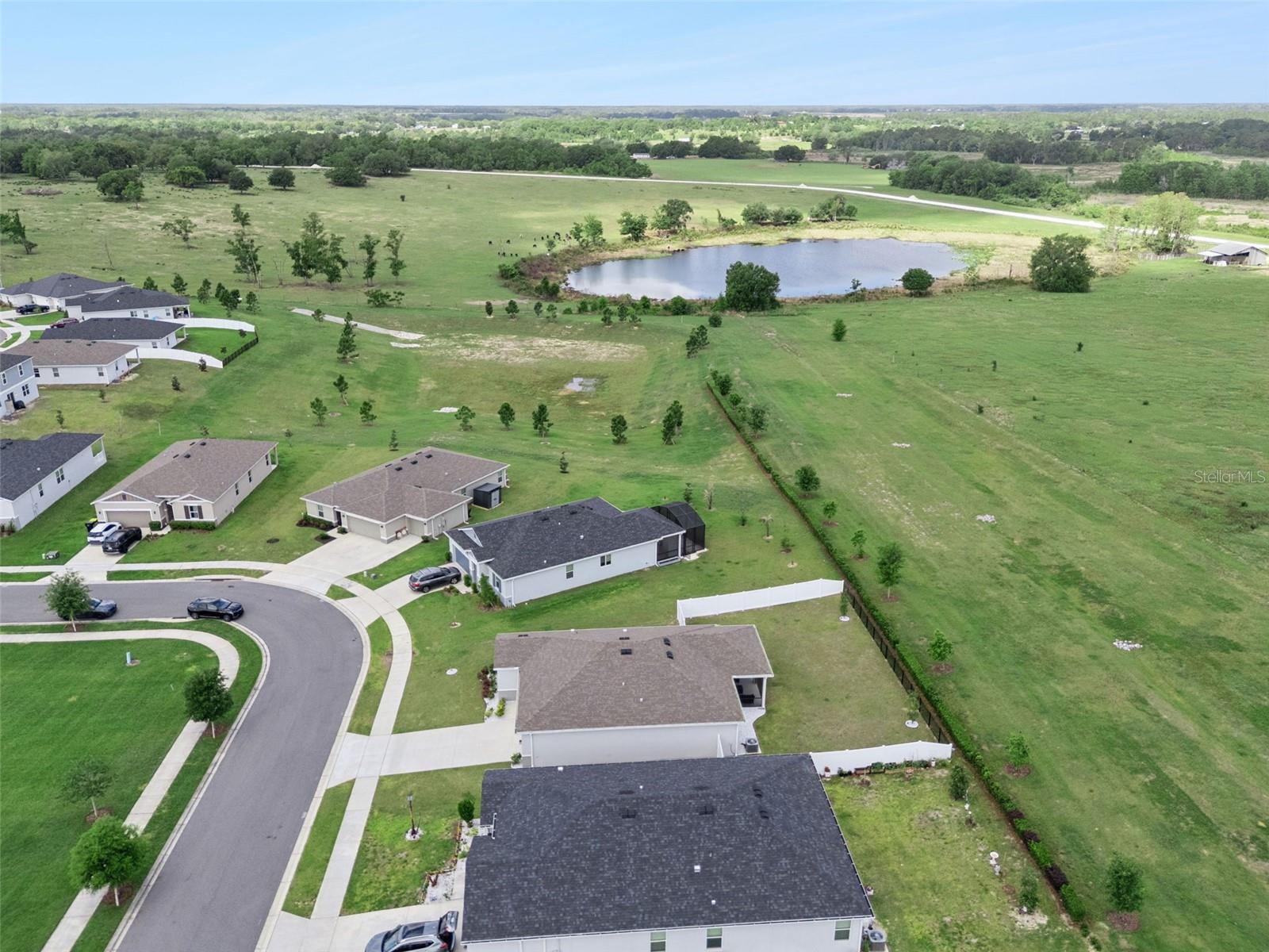 1682 LITTLELEAF BOXWOOD LOOP, MASCOTTE, FL — photo 123