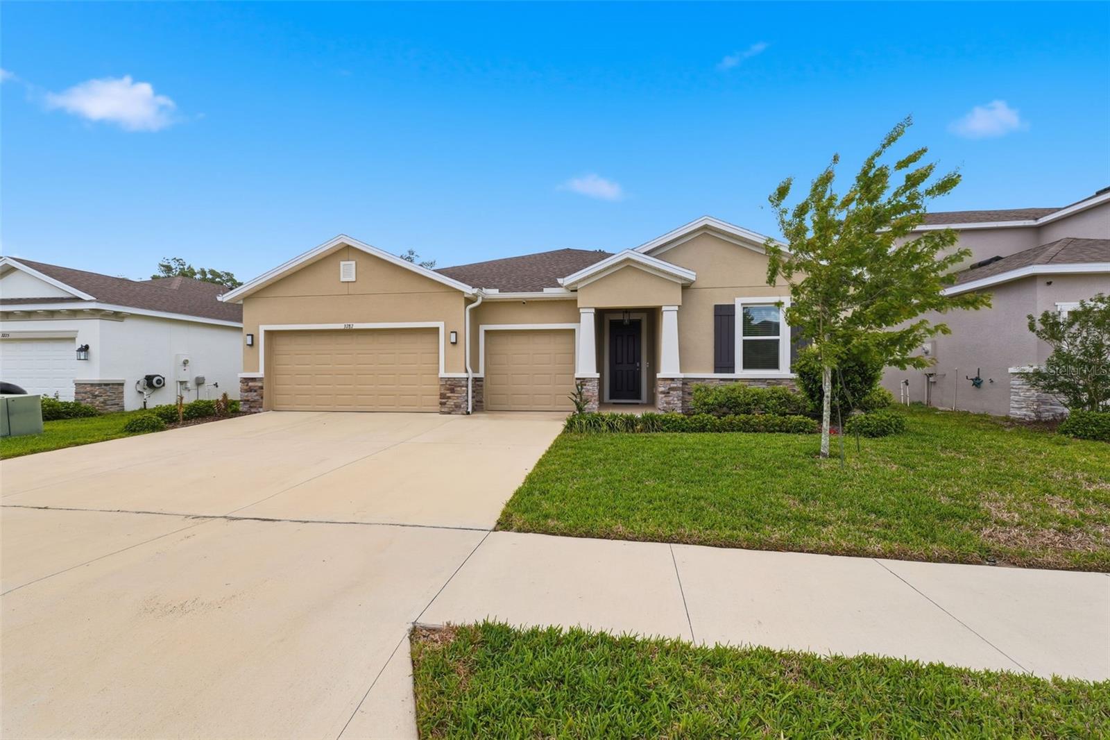 3787 AUTUMN AMBER DR, SPRING HILL, FL — photo 3