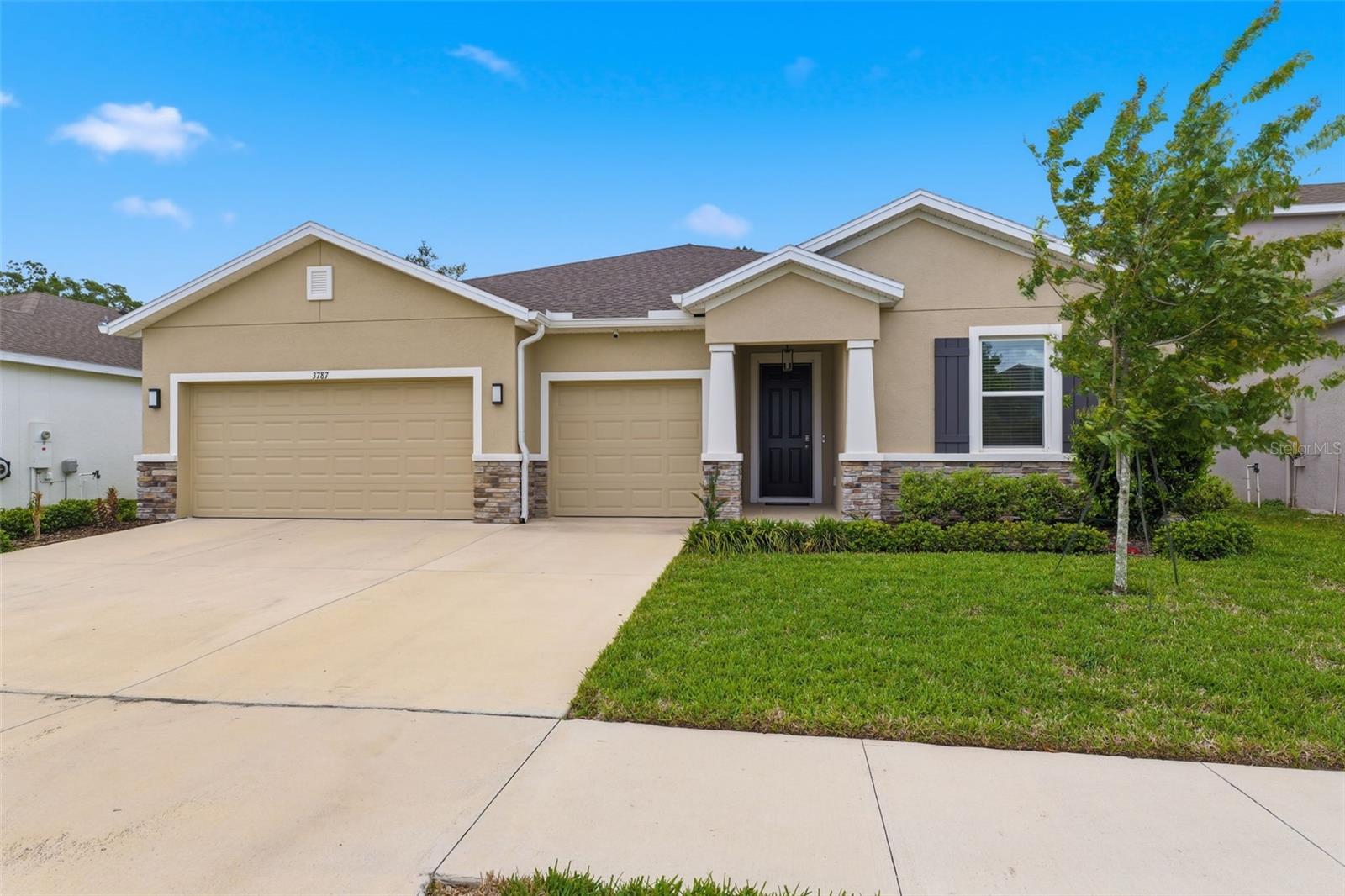 3787 AUTUMN AMBER DR, SPRING HILL, FL — photo 4