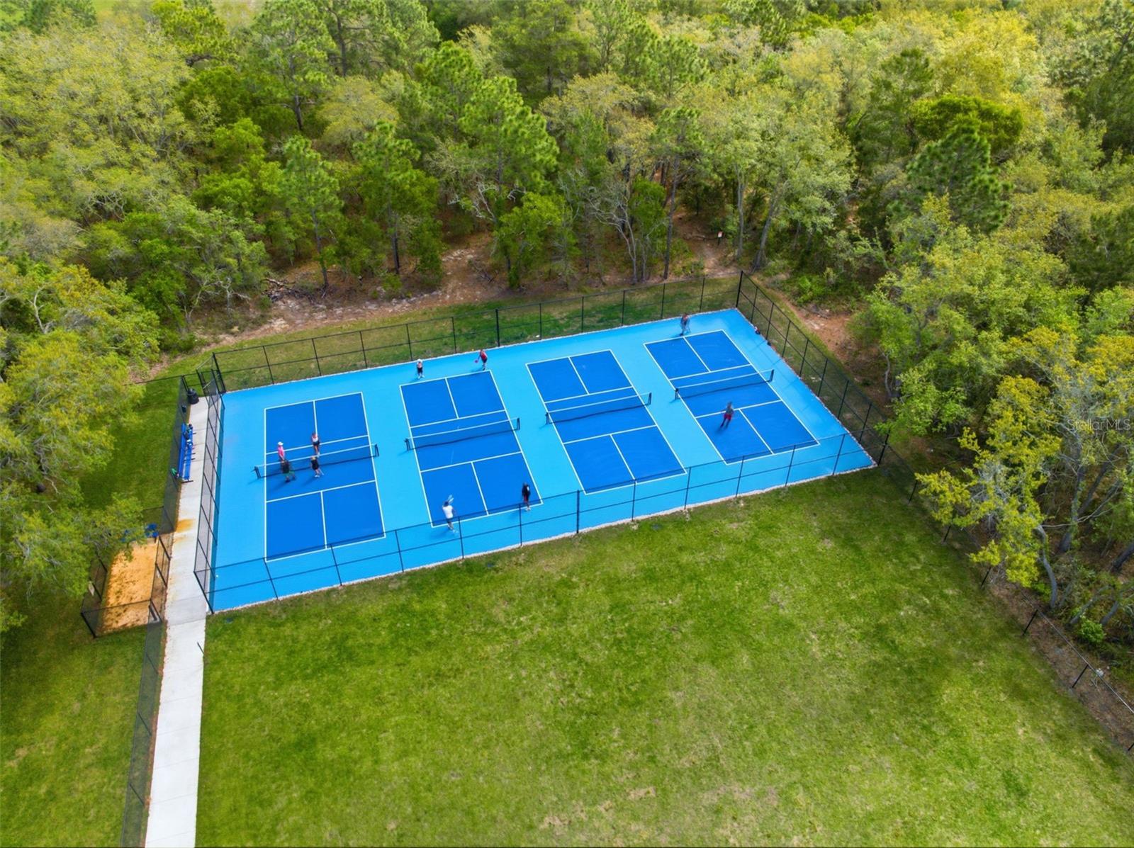 3787 AUTUMN AMBER DR, SPRING HILL, FL — photo 60