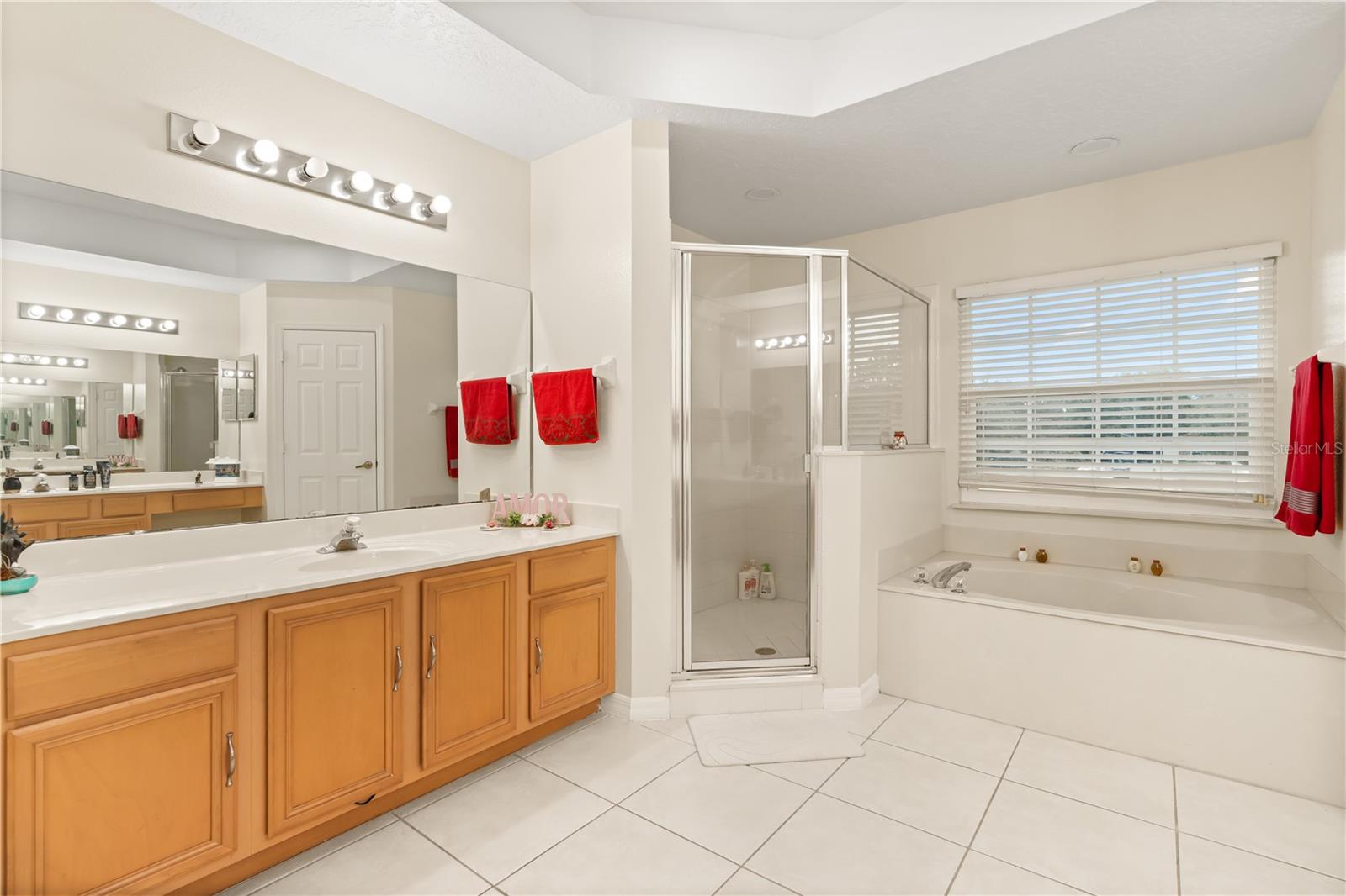 2408 CIMMARON ASH WAY, APOPKA, FL — photo 22