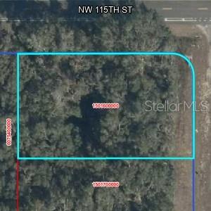 NW 100 AVE, WILLISTON, FL