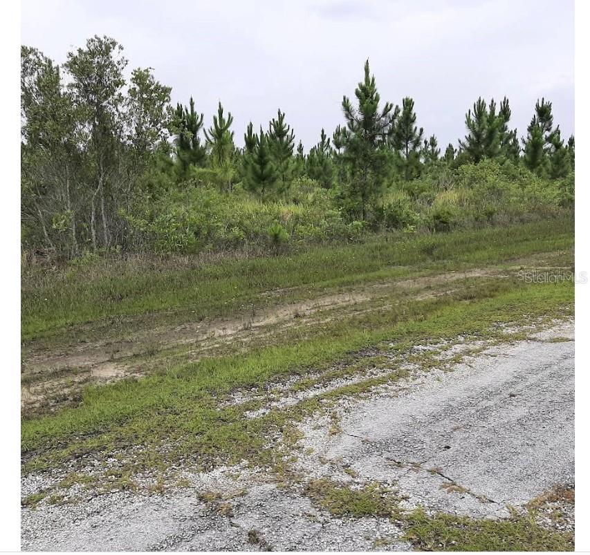 CALLIANDRA DR, INDIAN LAKE ESTATES, FL