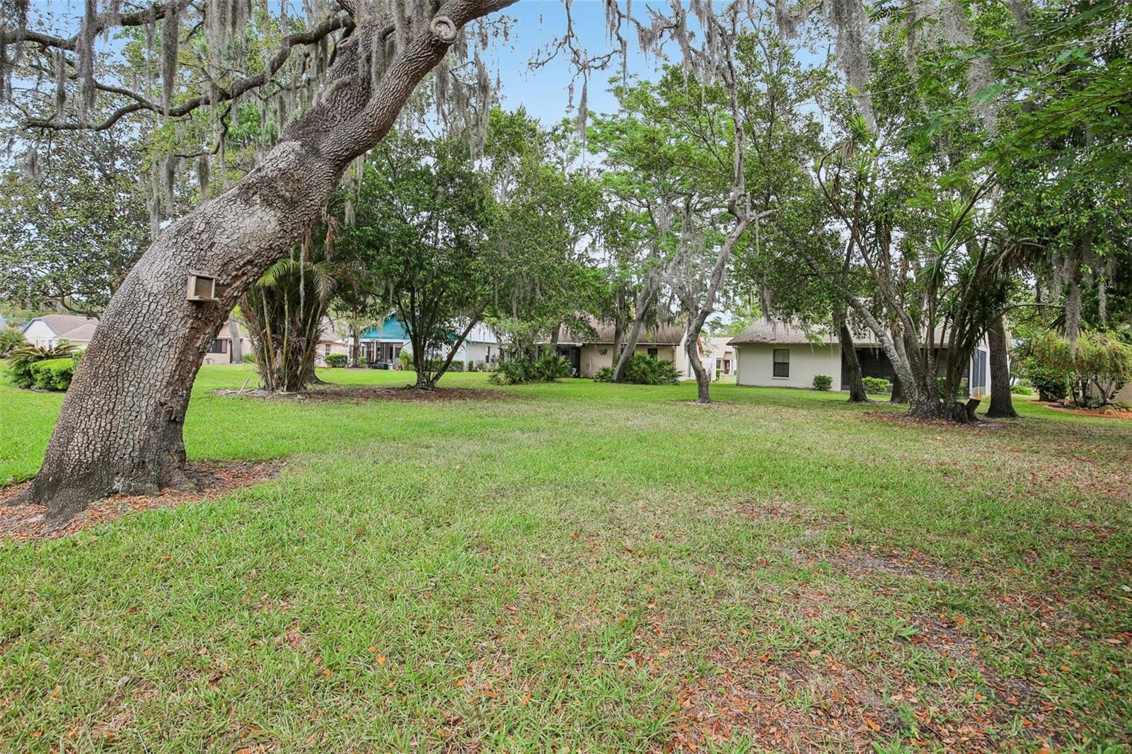 11622 COCOWOOD DR, NEW PORT RICHEY, FL — photo 15