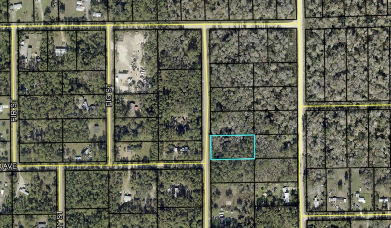 2157 GROVE ST, BUNNELL, FL