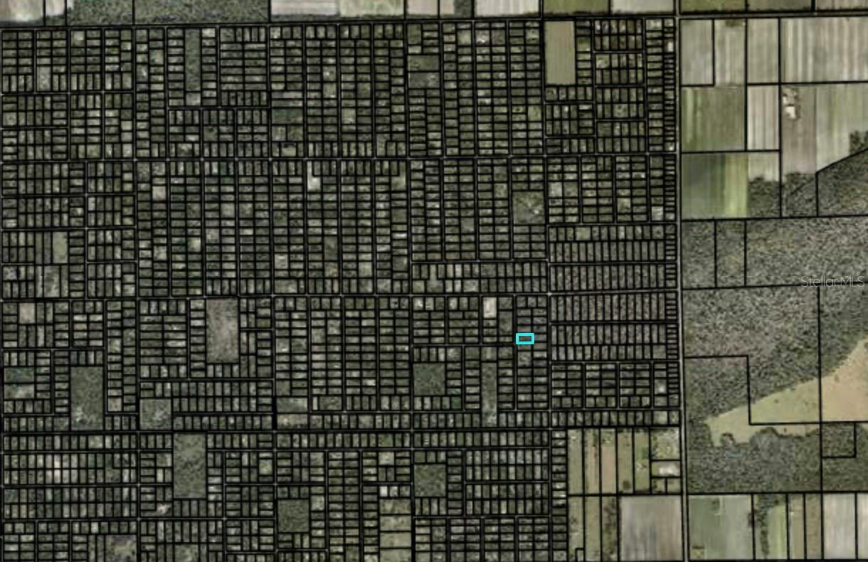 2157 GROVE ST, BUNNELL, FL — photo 2
