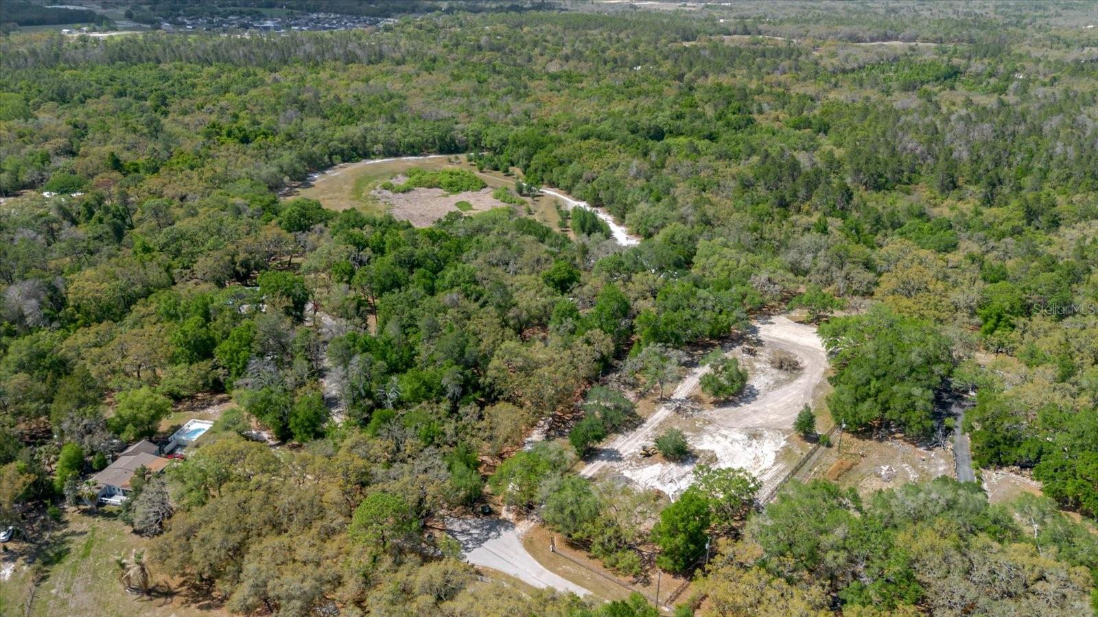 12531 LITTLE PETE CT, HUDSON, FL — photo 9