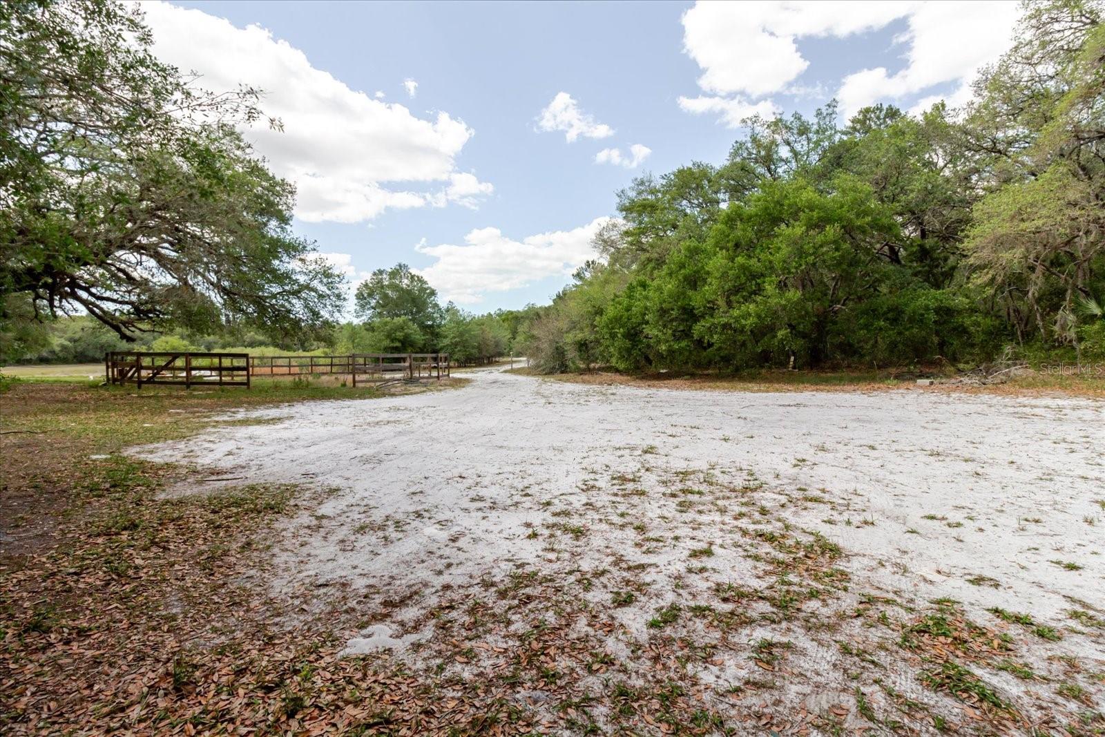 12531 LITTLE PETE CT, HUDSON, FL — photo 10