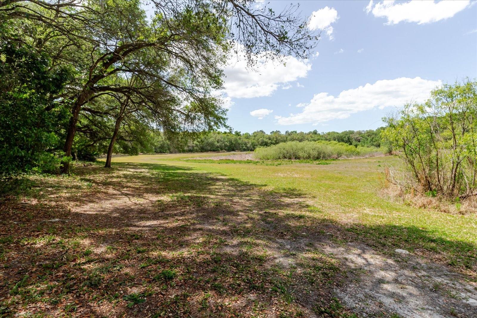 12531 LITTLE PETE CT, HUDSON, FL — photo 11