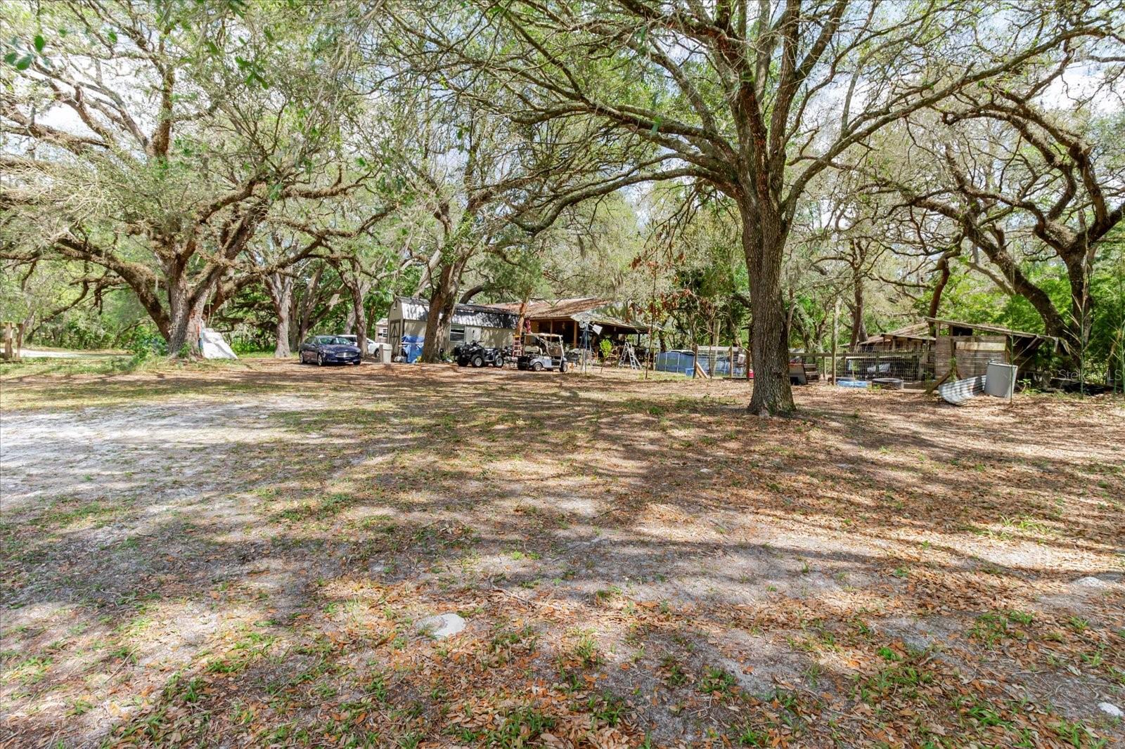 12531 LITTLE PETE CT, HUDSON, FL — photo 12