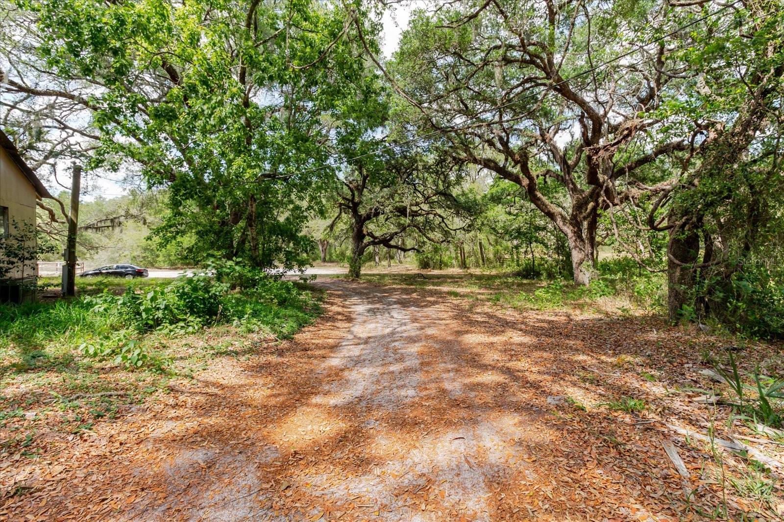 12531 LITTLE PETE CT, HUDSON, FL — photo 13