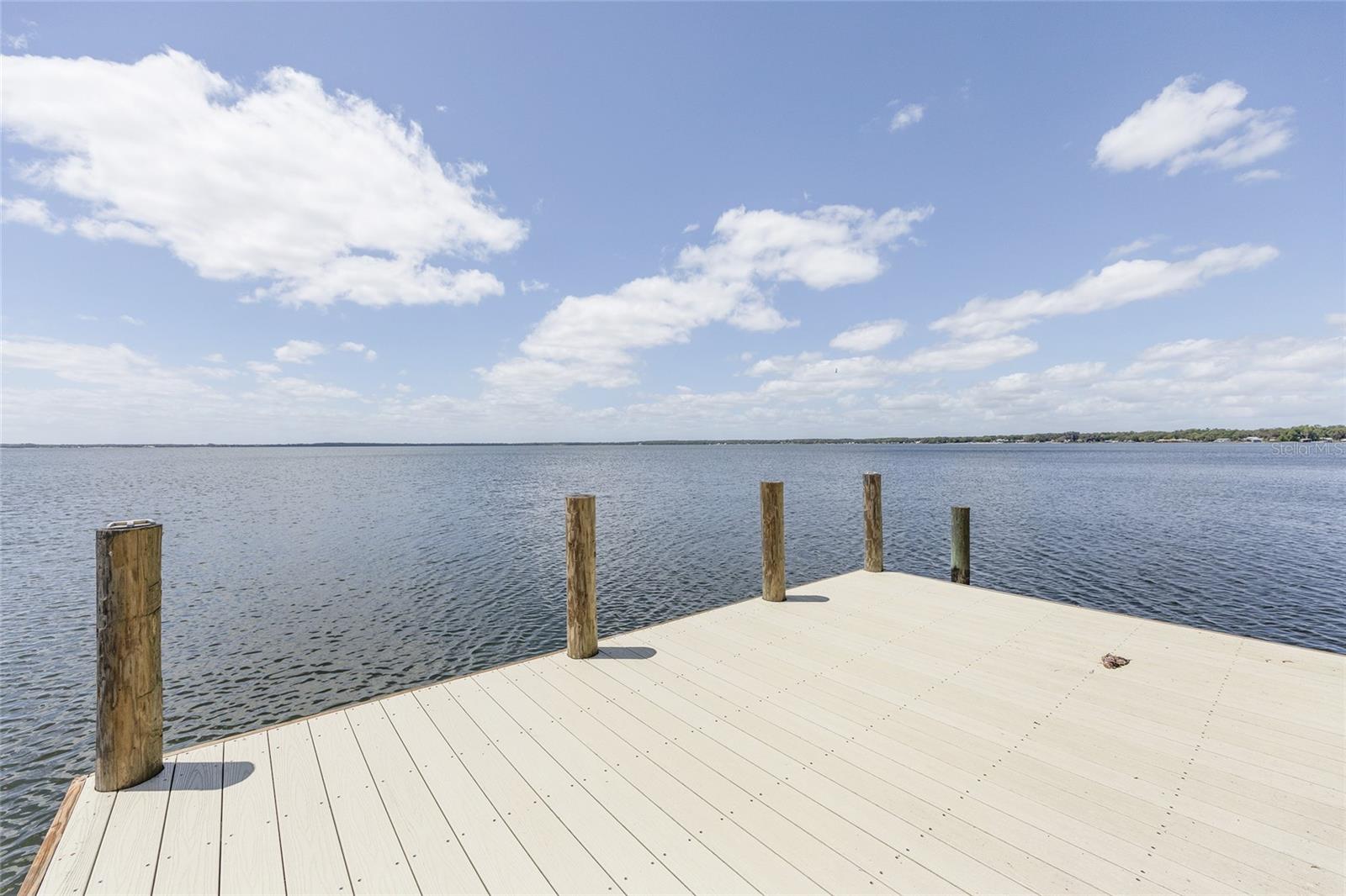 14261 SE 128TH ST, OCKLAWAHA, FL — photo 65