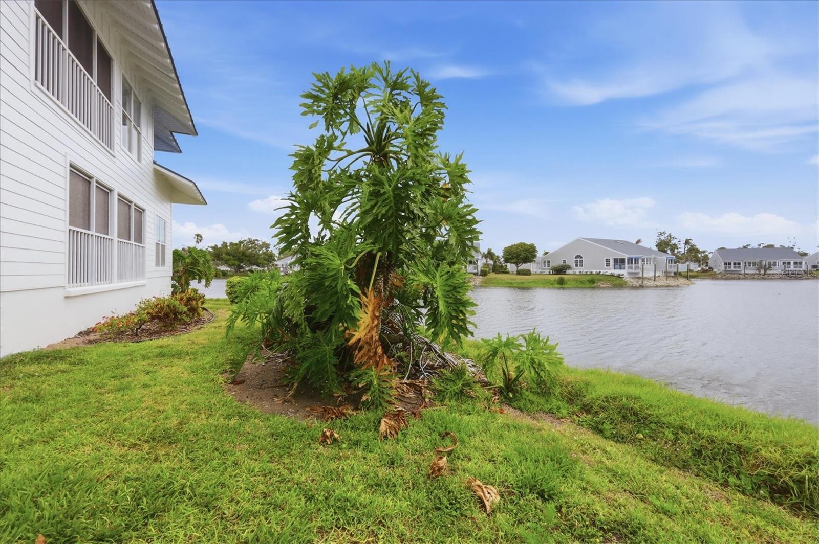 972 SANDPIPER CIR #972, BRADENTON, FL — photo 37