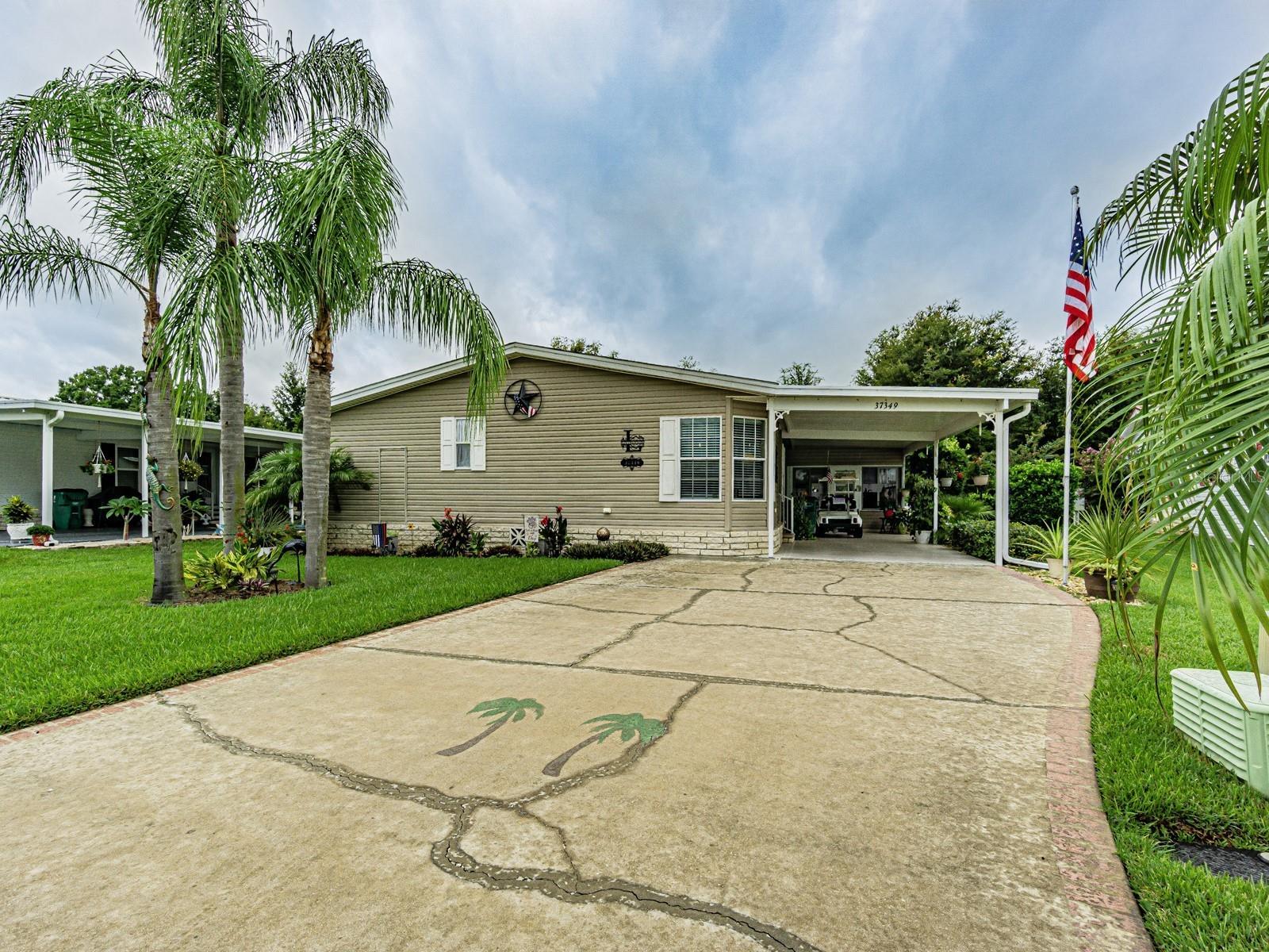 37349 GILL AVE, ZEPHYRHILLS, FL — photo 58