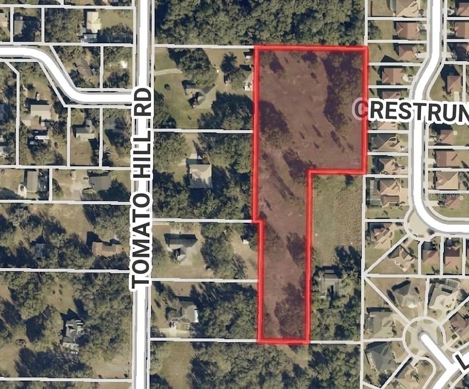 0 TOMATO HILL RD, LEESBURG, FL — photo 8