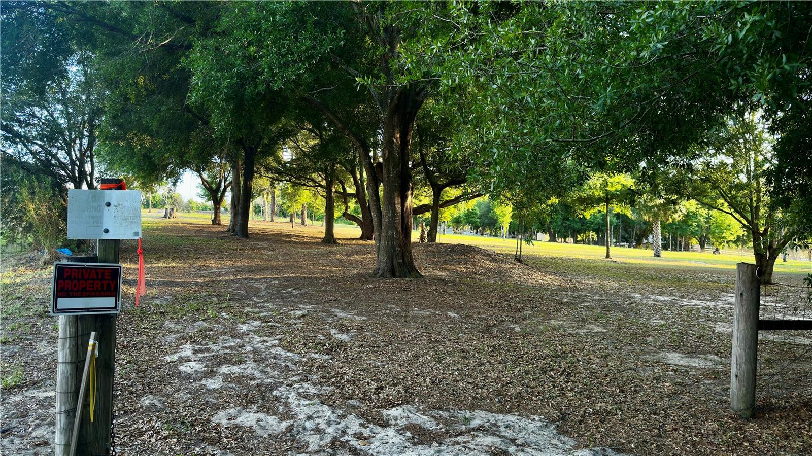 0 TOMATO HILL RD, LEESBURG, FL — photo 14
