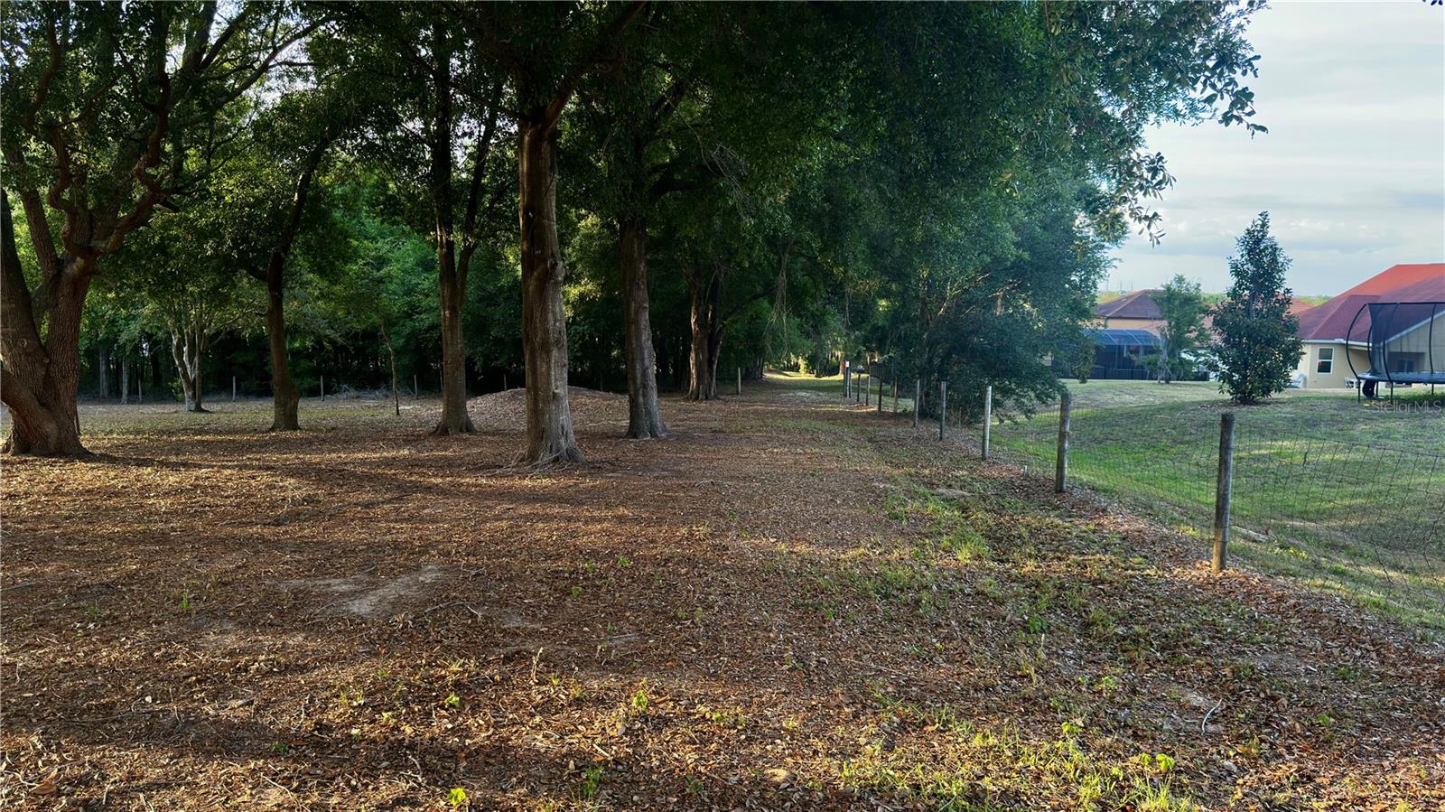 0 TOMATO HILL RD, LEESBURG, FL — photo 31