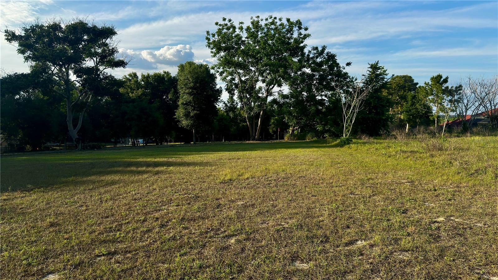 0 TOMATO HILL RD, LEESBURG, FL — photo 35